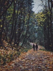 a couple is in the distance, walking on a wooded path covered in yellow leaves during the fall.