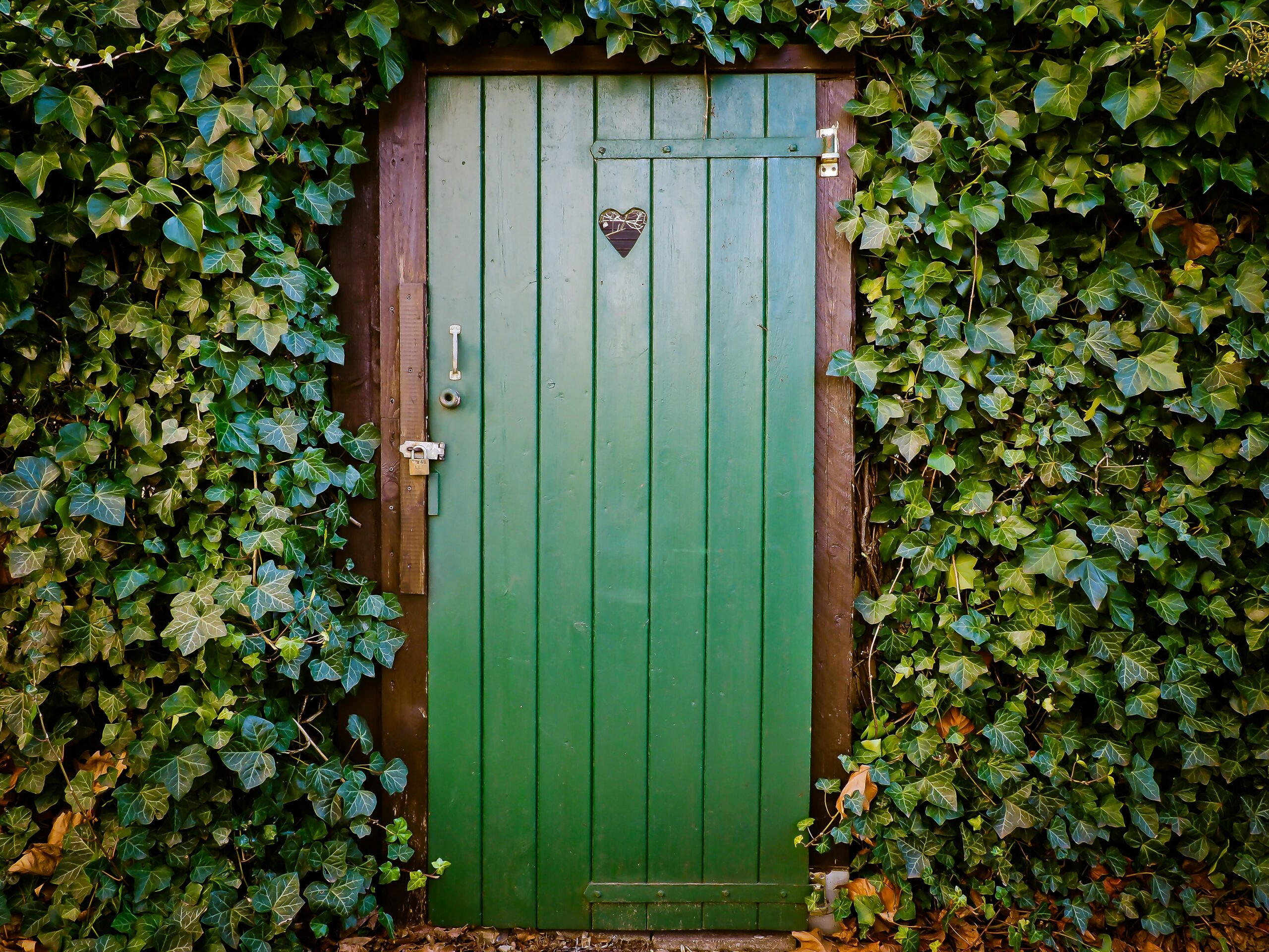 Unlock Pixabay'S Potential: Images That Sell - ptptu0k