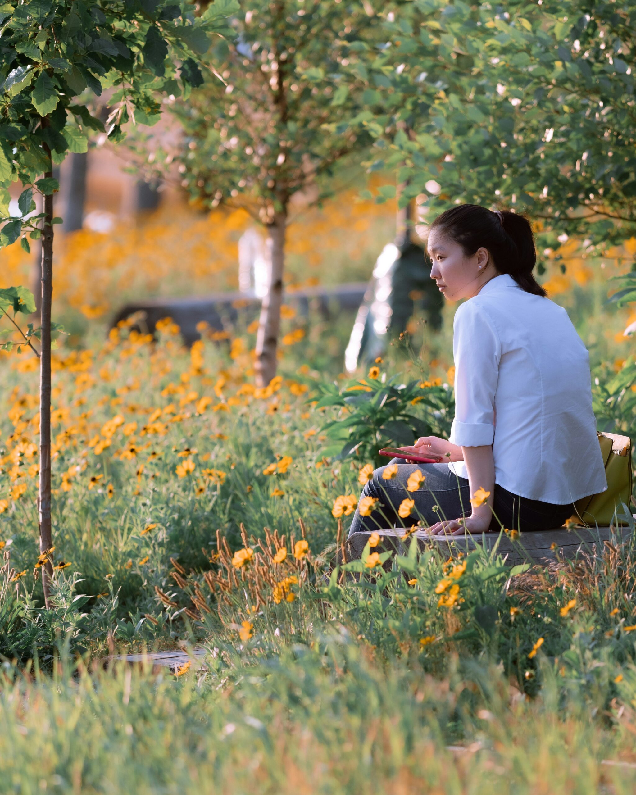 woman sitting on a bench in a field of yellow flowers representing self-compassion and self-love