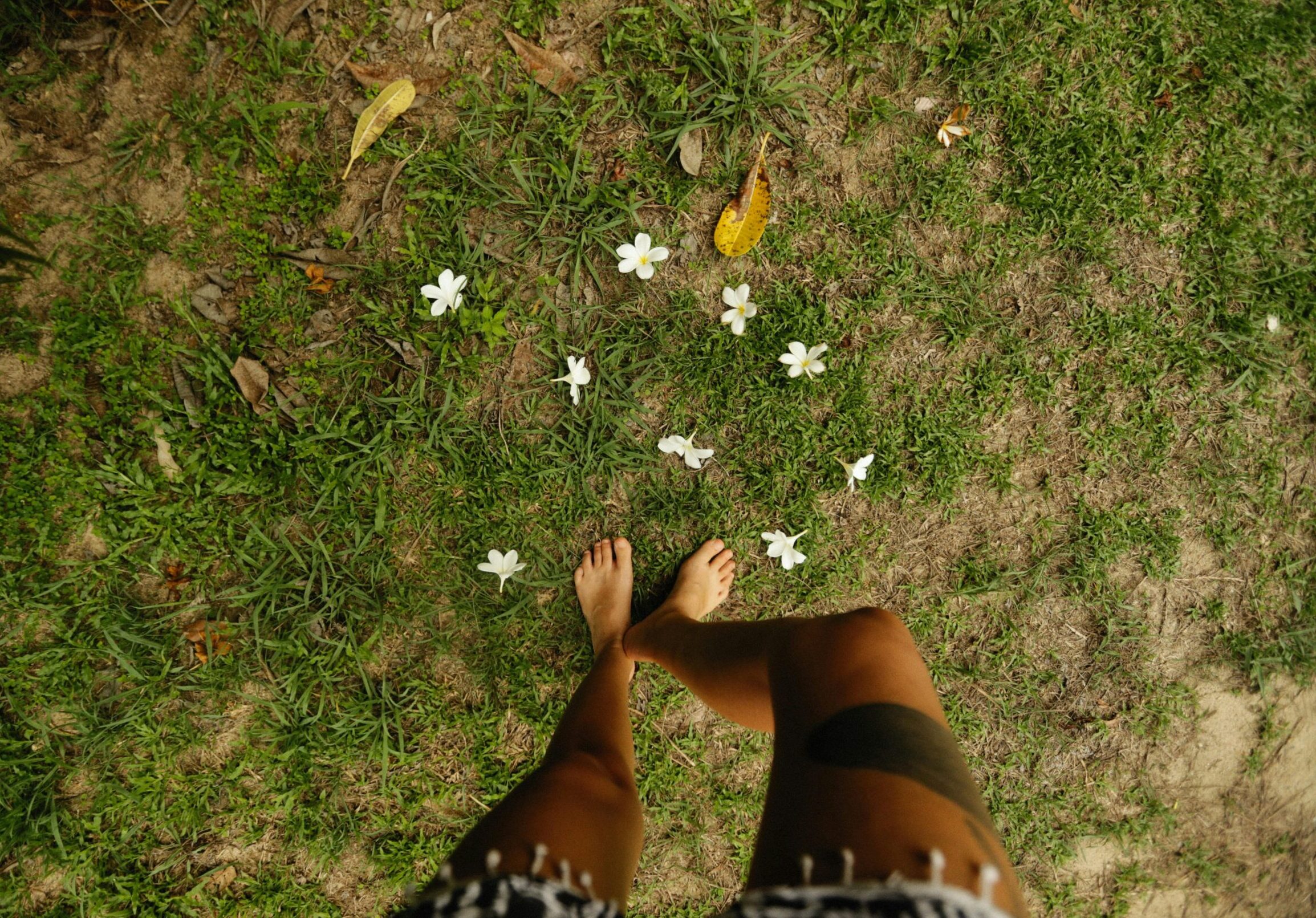 Person standing barefoot on grass and flowers, practicing embodied mindfulness and grounding through connection with nature.