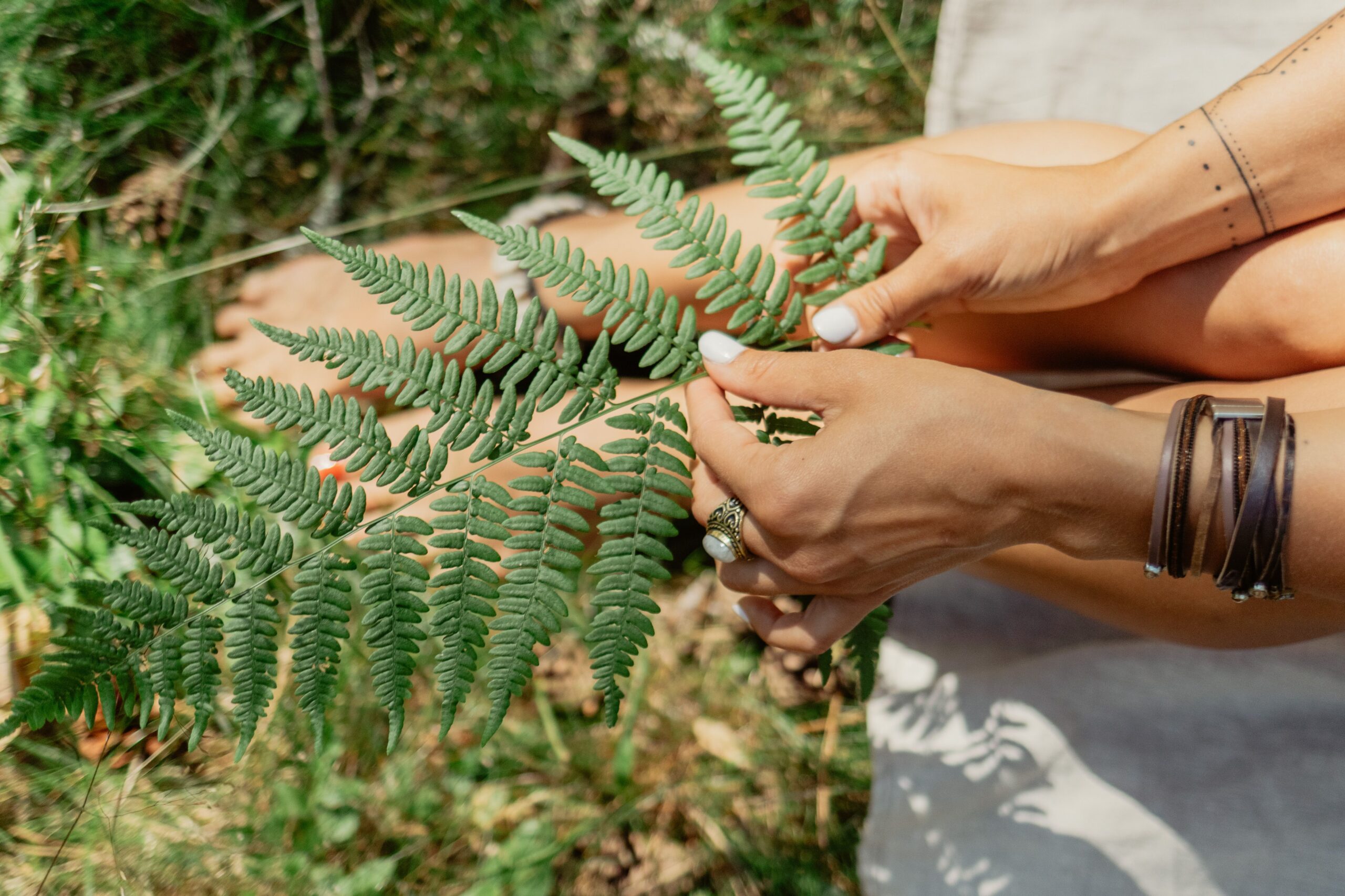 Hands holding a fern outdoors, representing mindfulness, nature therapy, and grounding practices for coping with stress and information overload